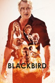 Watch free Blackbird movies online