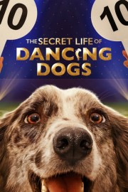 Watch free The Secret Life of Dancing Dogs movies online