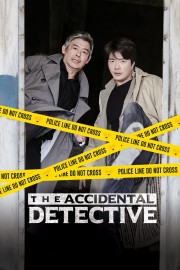 Watch free The Accidental Detective movies online