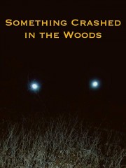 Watch free Something Crashed in the Woods movies online