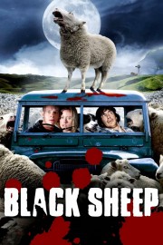 Black Sheep-hd