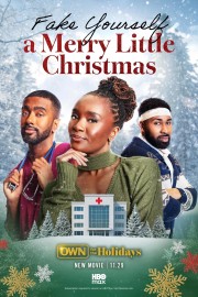 Watch free Fake Yourself a Merry Little Christmas movies online - HiMovies