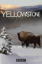 Watch free Yellowstone movies online