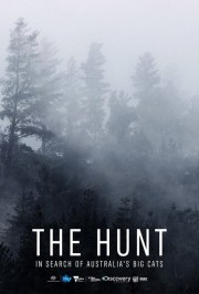 The Hunt: In Search of Australia's Big Cats