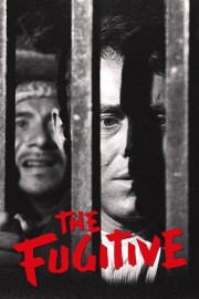 The Fugitive-hd