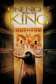 Watch free One Night with the King movies online