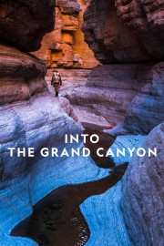 Watch free Into the Grand Canyon movies online