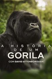 A Gorilla Story: Told by David Attenborough