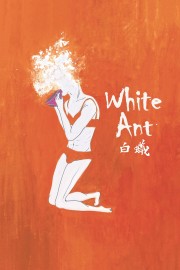 White Ant-hd