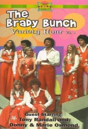 The Brady Bunch Hour-hd