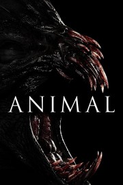 Watch free Animal movies online