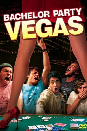 Bachelor Party Vegas-hd