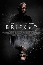 Watch free Bricked movies online