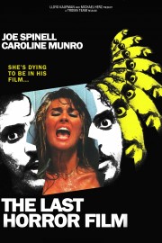 watch The Last Horror Film free online