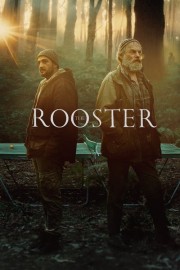 hd-The Rooster