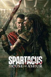 hd-Spartacus: House of Ashur