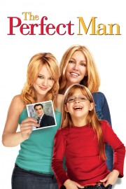 watch The Perfect Man free online