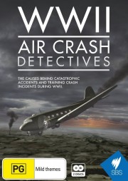 Watch free WWII Air Crash Detectives movies online