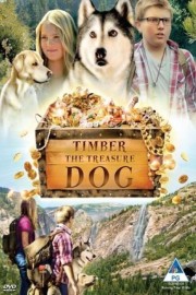 hd-Timber the Treasure Dog