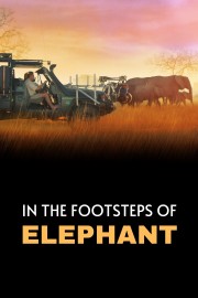 Watch free In the Footsteps of Elephant movies online