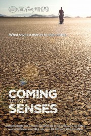 Watch free Coming To My Senses movies online