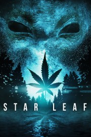 hd-Star Leaf