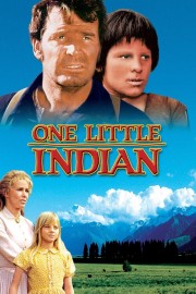 Watch free One Little Indian movies online