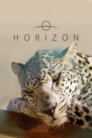 Horizon-voll