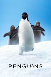 watch Penguins free online