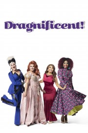 Watch free Dragnificent! movies online