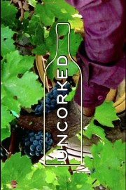 Watch free Uncorked movies online