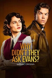 Watch free Why Didn't They Ask Evans? movies online