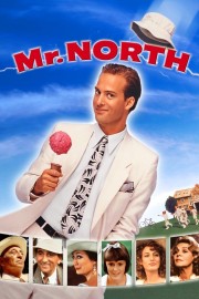 watch Mr. North free online