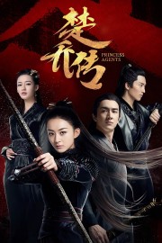 Princess Agents-voll