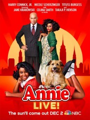 Watch free Annie Live! movies online