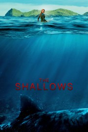 watch The Shallows free online