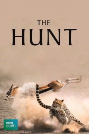 Watch free The Hunt movies online