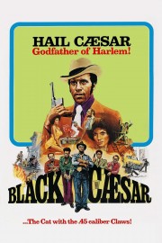 Watch free Black Caesar movies online