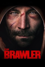 Watch Free The Brawler Movies Full HD Soaper TV