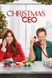 hd-Christmas CEO