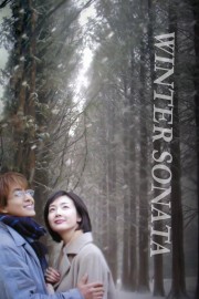 Watch Free Winter Sonata Movies Full HD Soaper TV