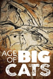 Watch free Age of Big Cats movies online