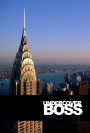 Watch free Undercover Boss movies online