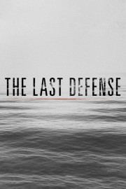 watch The Last Defense free online