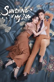 watch Sunshine of My Life free online