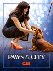 hd-Paws in the City