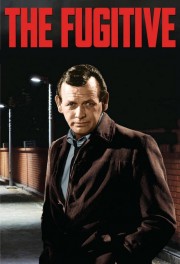 hd-The Fugitive