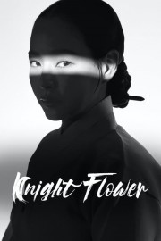 Watch free Knight Flower movies online