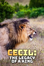 Watch free Cecil: The Legacy of a King movies online