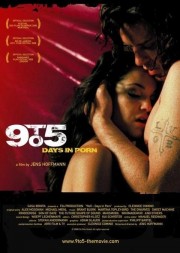 Watch free 9to5: Days in Porn movies online